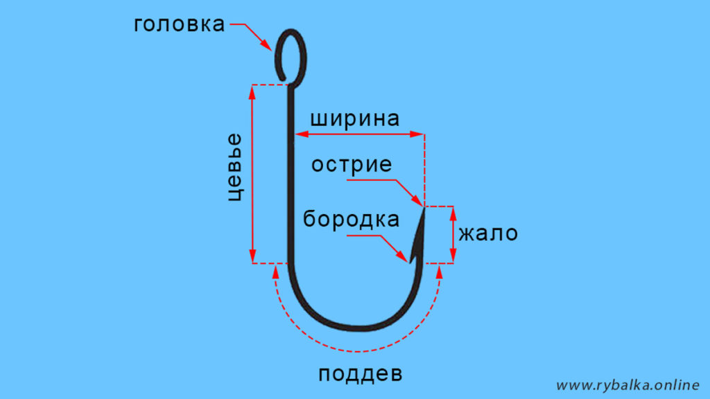 Строение рыболовного крючка: головка, цевье, острие, бородка, жало, поддев