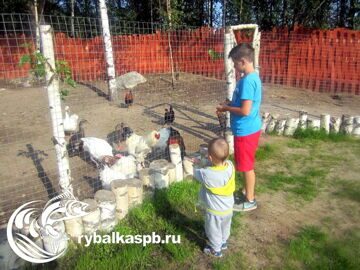 Место отдыха - Рыбалка в Лепсари г. Санкт-Петербург Всеволожский район