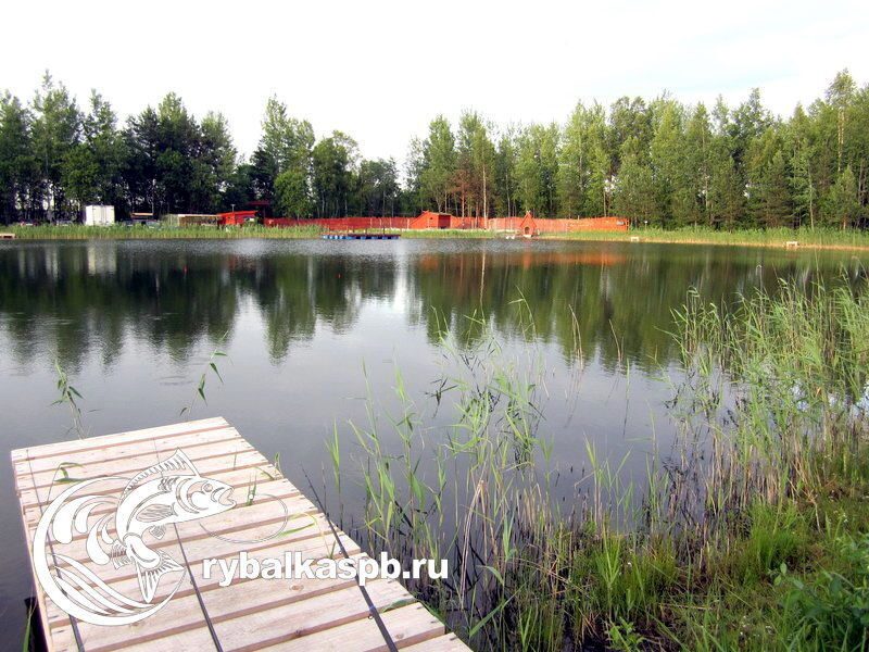 Платная рыбалка в Лепсари азарт и удовольствие