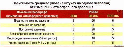 Влияние атмосферного давления на клев рыбы это реально