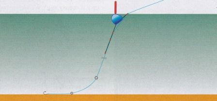 Пример правильной оснасти для ловли в проводку