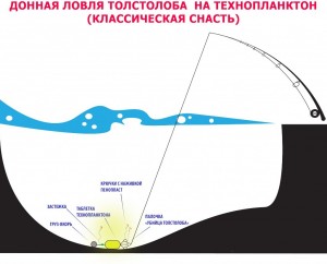 Ловля толстолобика на технопланктон: особенности этой приманки