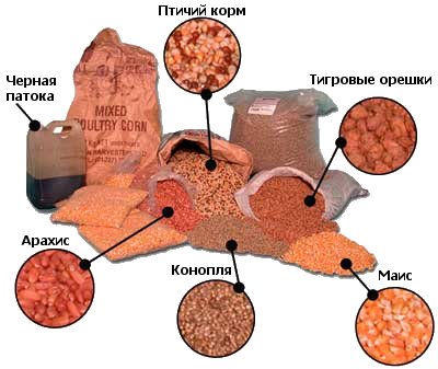 Ингредиенты прикормки для карася