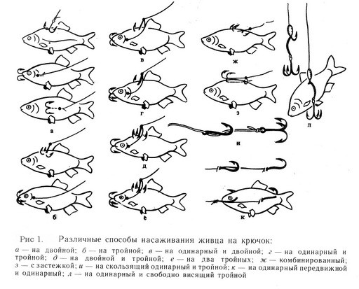 nasagivanie_na_kruchok