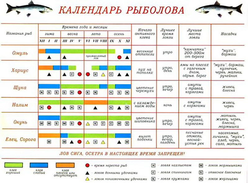 Карта клева казань