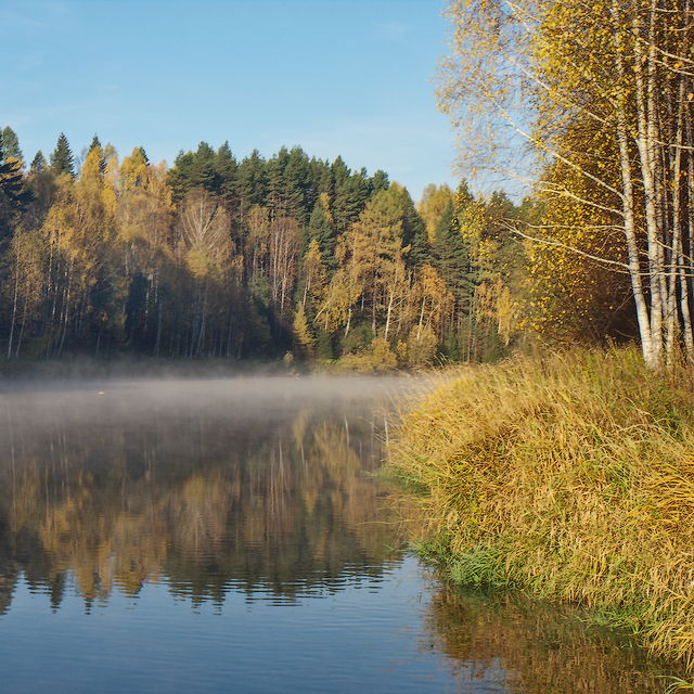 осень на реке