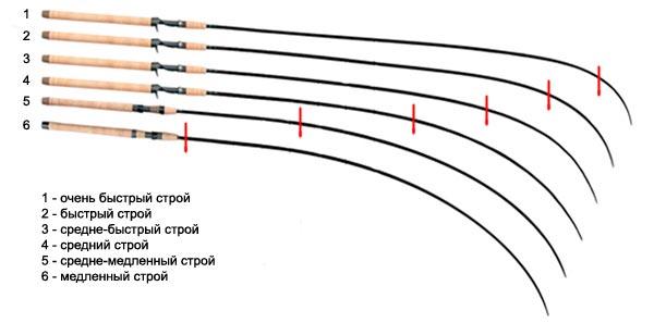 Отличия удилищ по строю