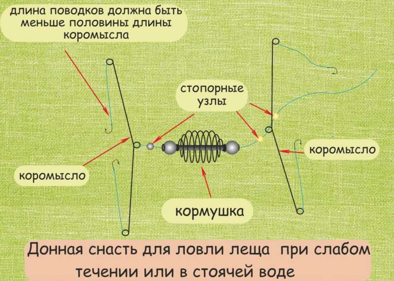 Лещ весной - как и на что ловить 2021