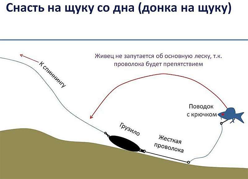 Схема донной оснастки на щуку