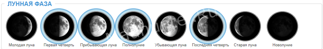 Прогноз клёва и лунные фазы