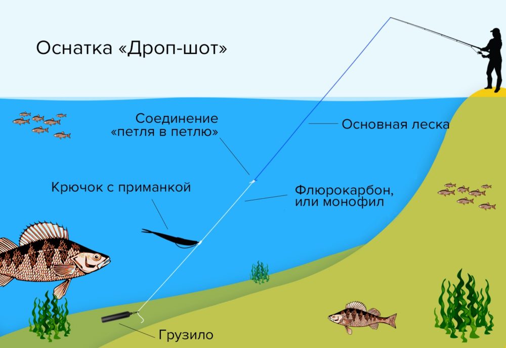 Оснастка дроп-шот для ловли на спиннинг