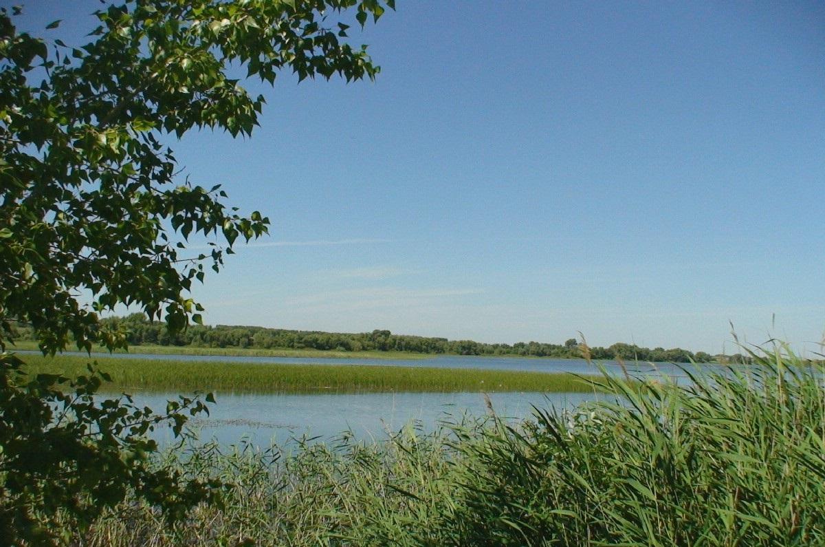 Черновское водохранилище