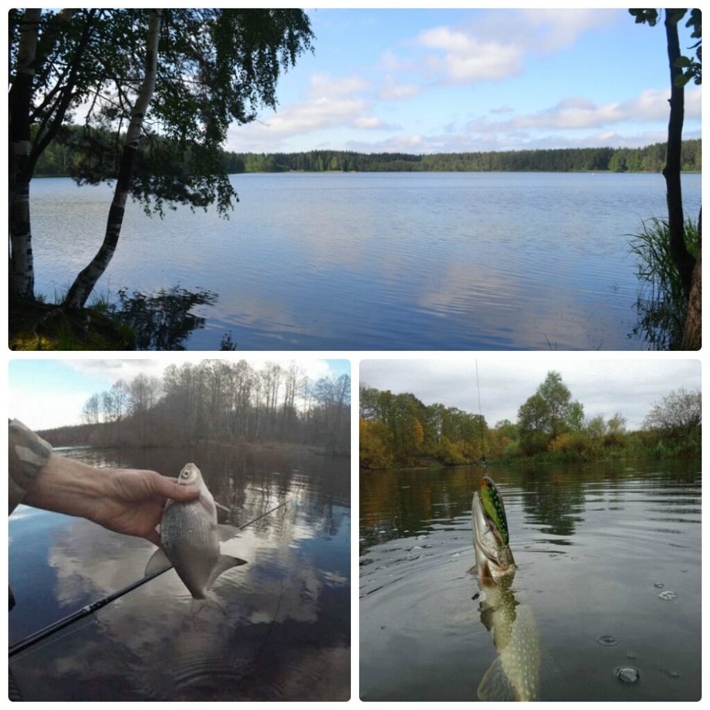 Озеро святое Шатурский район рыбалка
