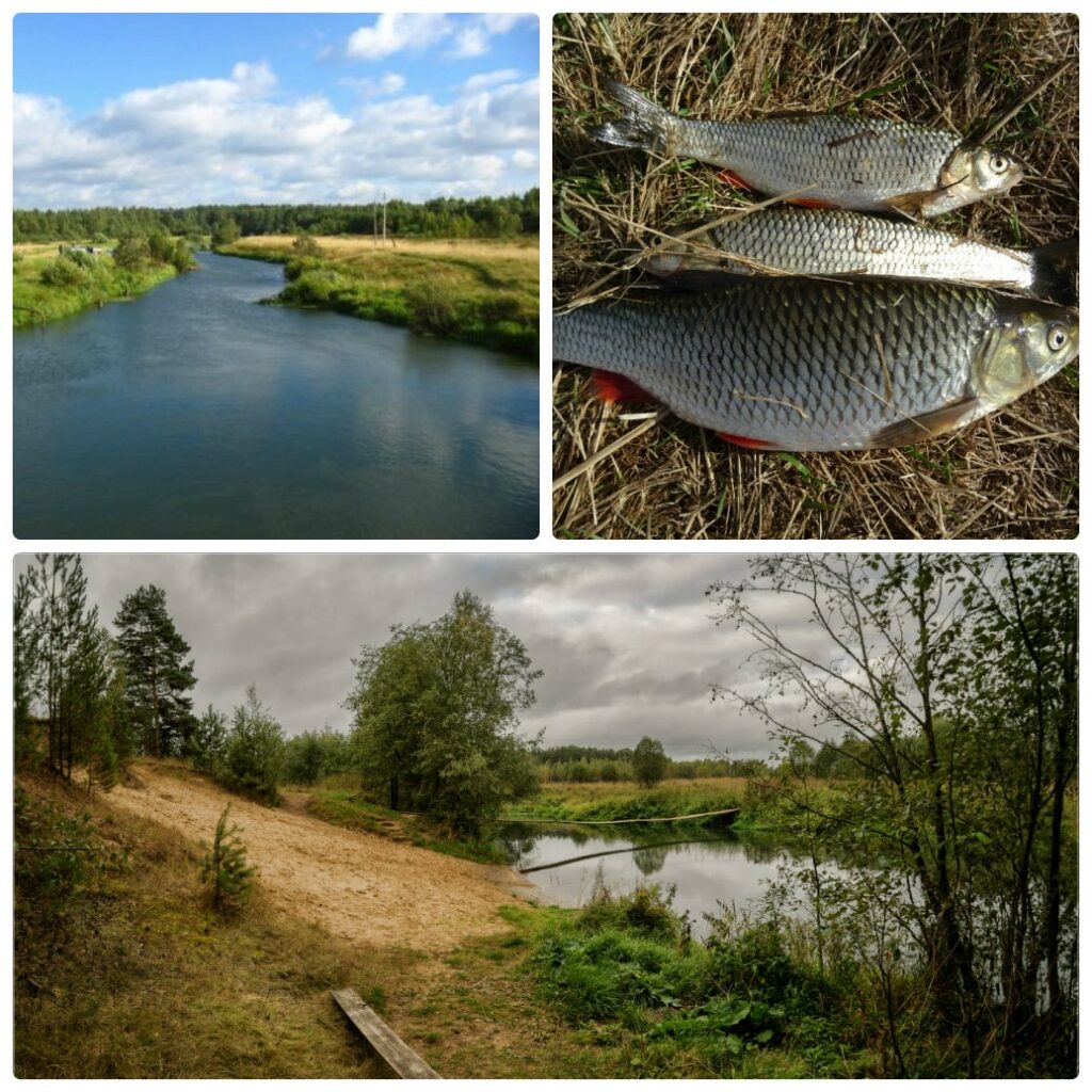 Рыбалка на реке Молокча