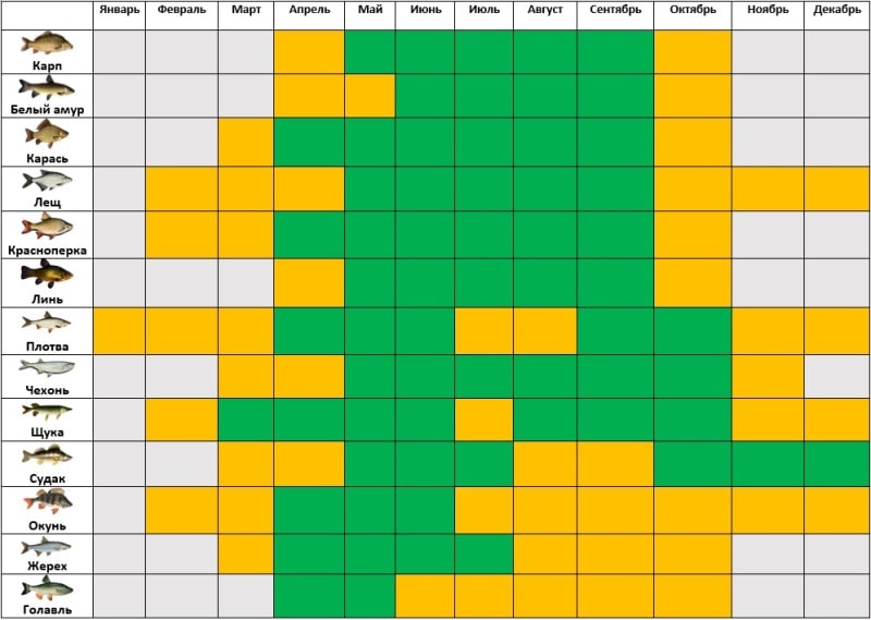 Карта клева рыбы в подмосковье на сегодня