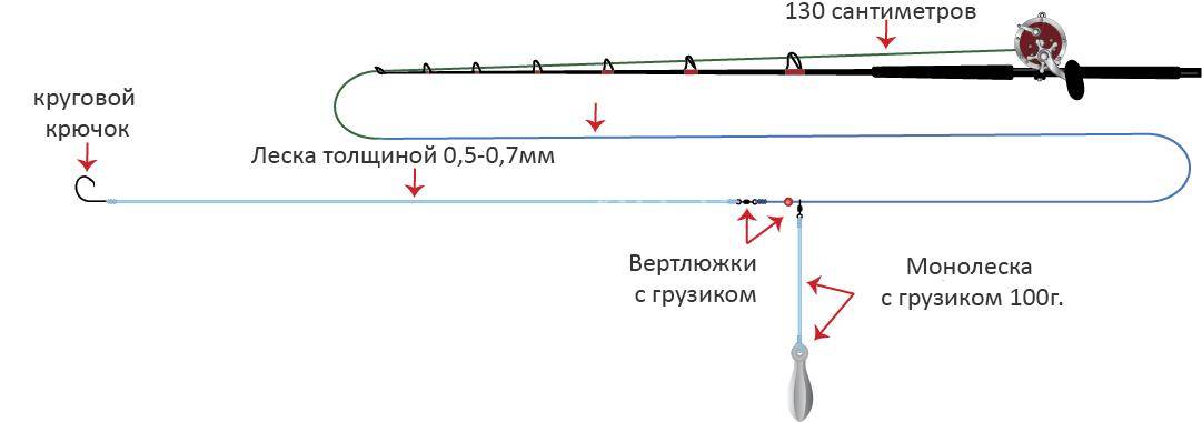 Донная снасть: разновидности, как сделать уловиствую донку и как ловить