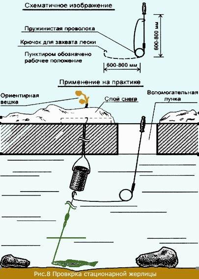 Ловля судака зимой на жерлицы на течении и малопроточных водоемах