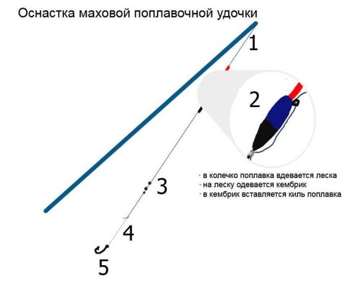 Ловля карася весной: когда начинает клевать, на что ловить и какие снасти использовать