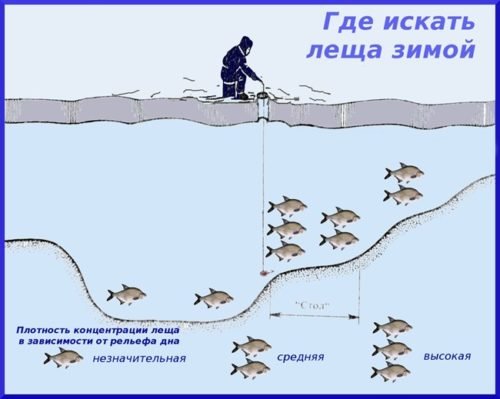 Рыбалка зимой на течении - тактика поиска на реке, снасти, подача