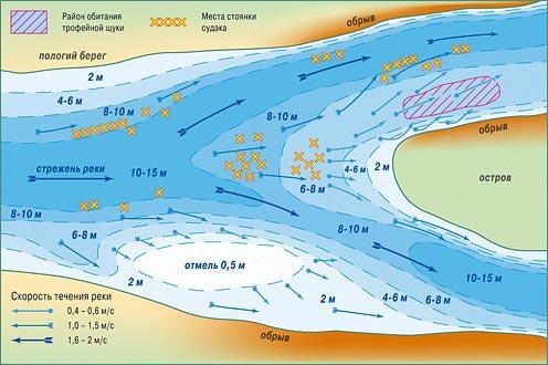 Ловля судака зимой на жерлицы на течении и малопроточных водоемах
