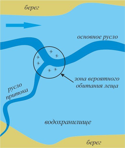 Рыбалка зимой на течении - тактика поиска на реке, снасти, подача