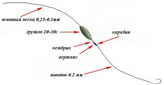 Ловля карася осенью в сентябре, октябре и ноябре