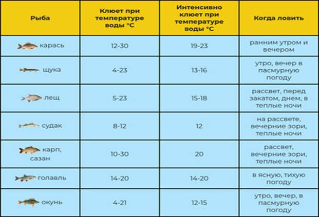 При каком ветре лучше клюет рыба - влияние направления, силы, порывов и резкой смены