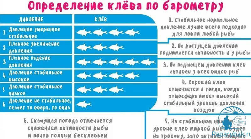 определение клева по показаниям