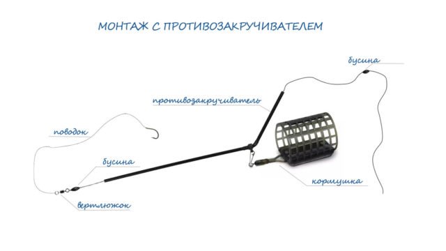 Окунь осенью: повадки и ловля в сентябре, октябре и ноябре