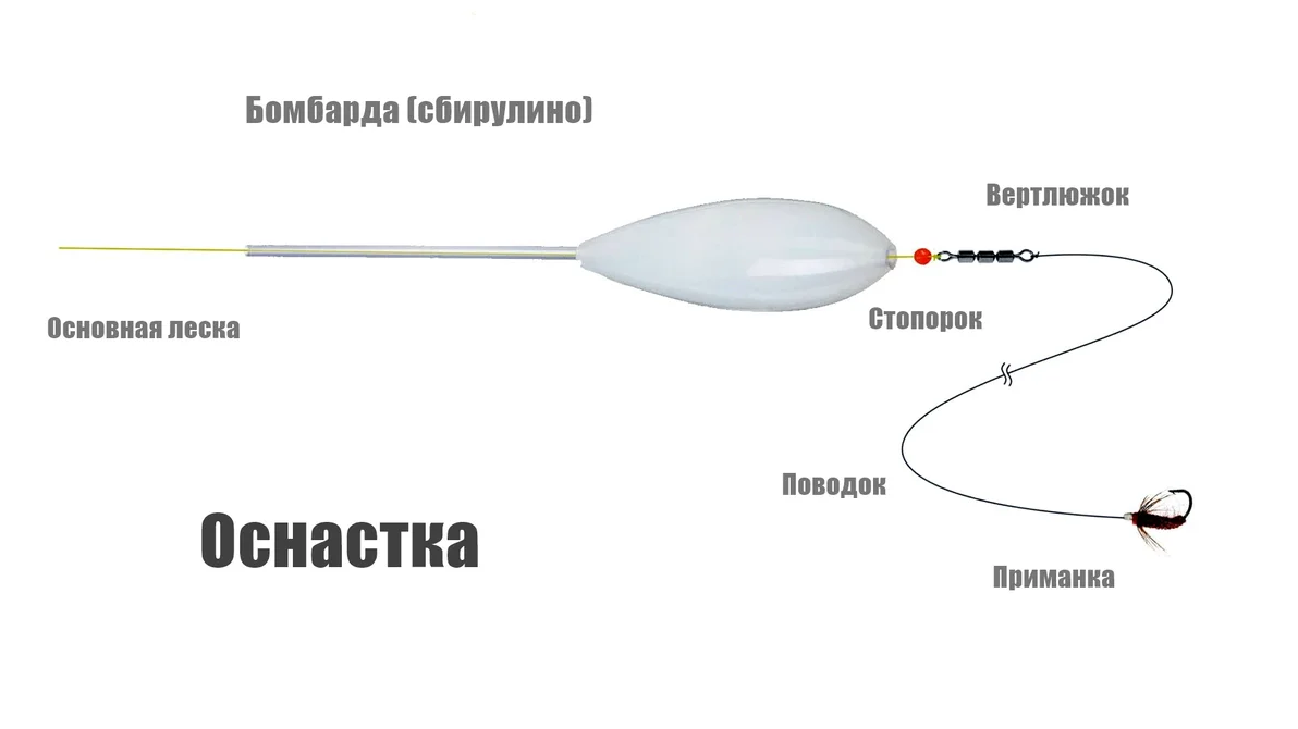 Рыболовная снасть бомбарда: монтаж оснастки, ловля на сбирулино