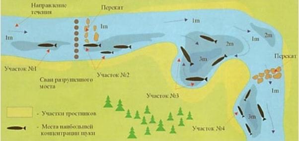 Щука осенью: повадки и ловля в сентябре, октябре и ноябре