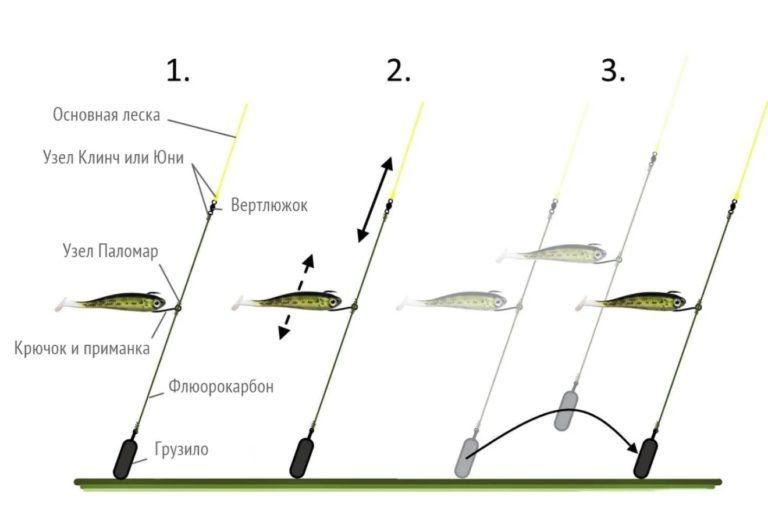 Ловля на дроп шот с берега и лодки: монтаж, тактика, приманки