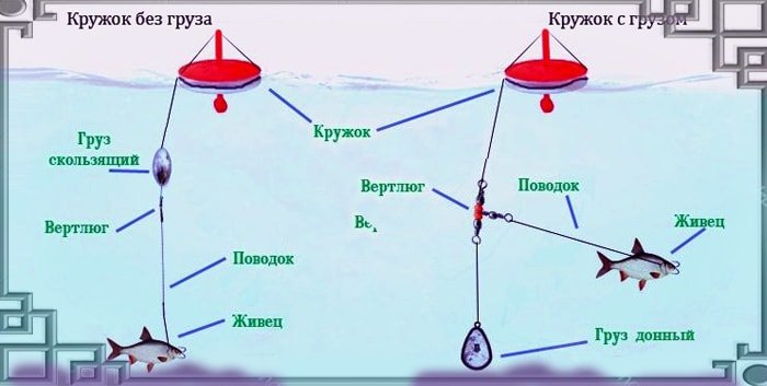 Щука осенью: повадки и ловля в сентябре, октябре и ноябре