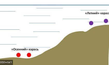 Ловля карася осенью в сентябре, октябре и ноябре