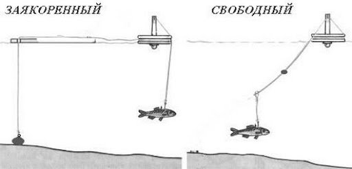 Как насадить живца на крючок, двойник, тройник - фото и советы