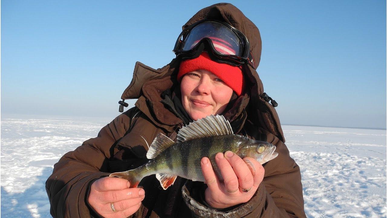 Ловля берша зимой на Горьковском море