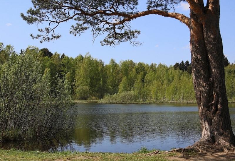 Черное озеро рыбалка в Подмосковье