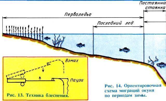 Особенности ловли судака зимой – тактика, техника и поиск