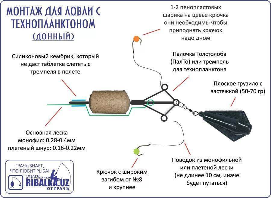 Ловля толстолобика на технопланктон: описание подходящей оснастки, рекомендации специалистов