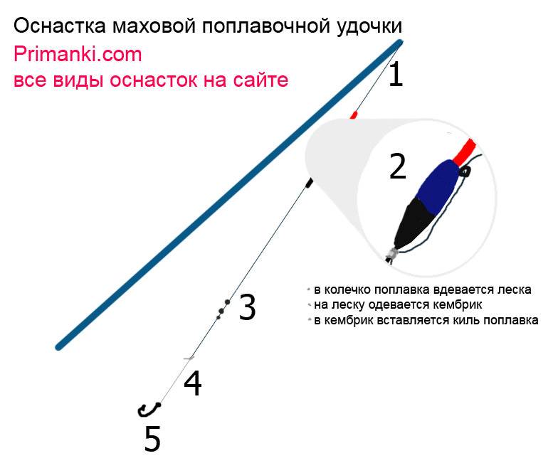 Ловля уклейки на поплавочную удочку