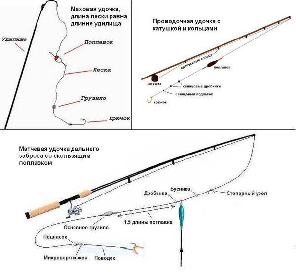 Удилища для поплавочной ловли — выбираем правильно