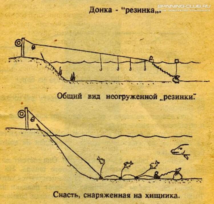 Рыбалка на резинку: особенности, изготовление, техника ловли