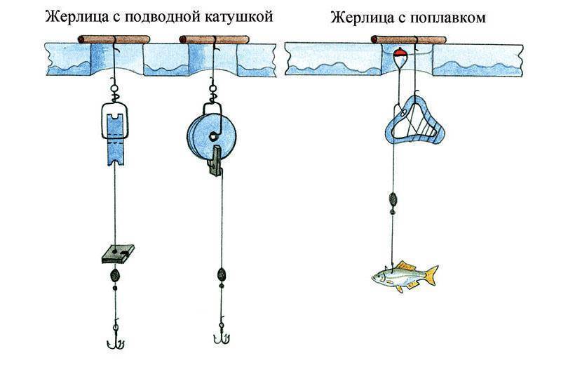 Ловля щуки на жерлицы зимой от а до я - читайте на сatcher.fish