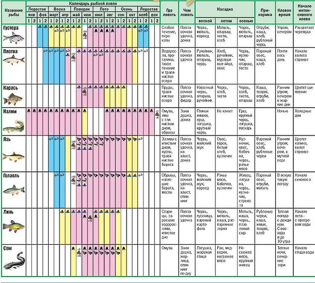 Учитываем все нюансы или в какую погоду лучше ловить щуку?