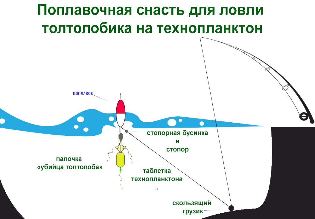 Технопланктон на толстолобика своими руками: топ 5 рецептов