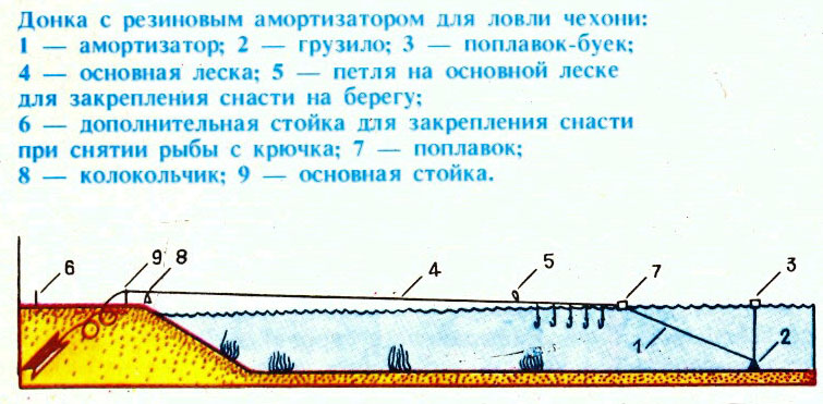 Рыбалка на резинку на реке: техника и полезные советы