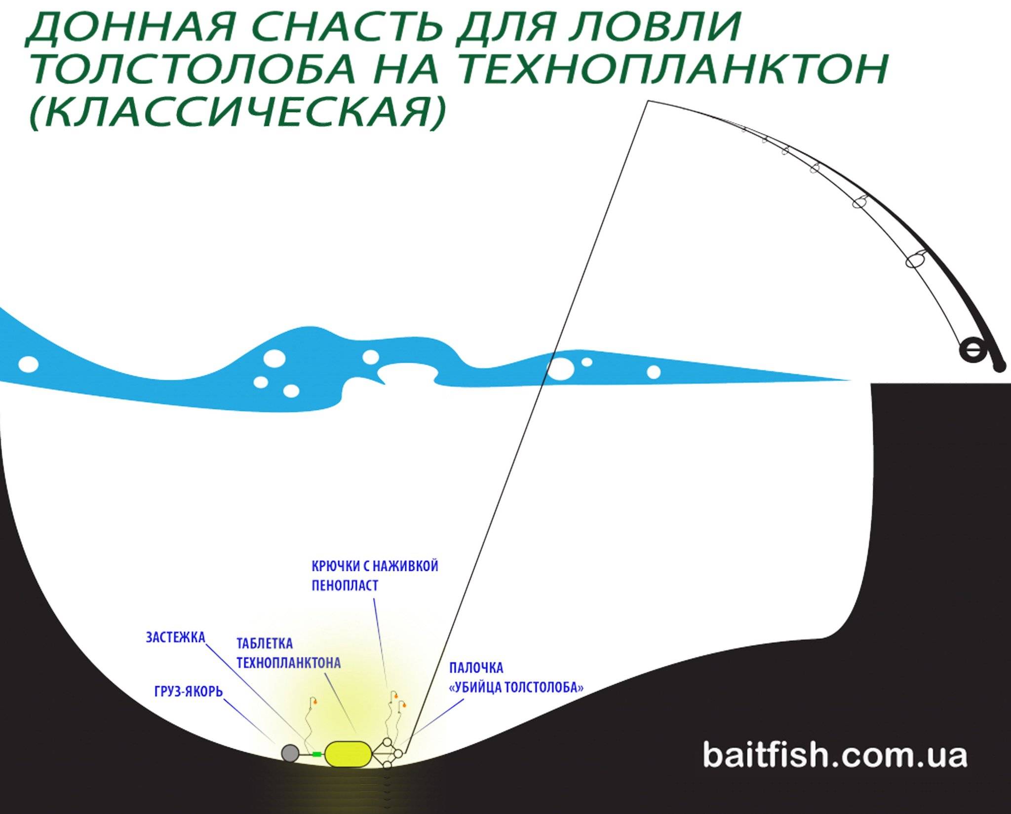 Схема монтажа на толстолобика