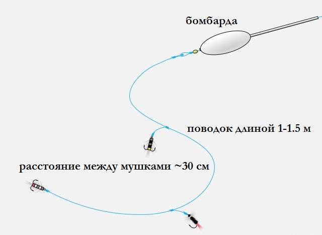 Как правильно собрать бомбарду для ловли форели