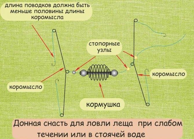 Спускник на леща зимой (комбайн) – оснастка и процесс ловли