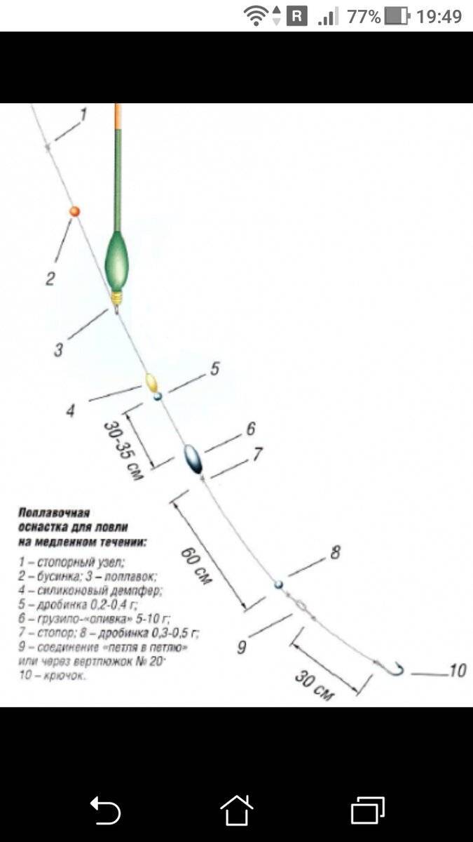 Техника ловли плотвы на поплавочную удочку